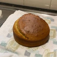 Load image into Gallery viewer, Rover Pet Products - Pawty Cake - Teddy DogWear