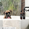 Load image into Gallery viewer, Essential Dog - Natural Sensitive Dog Conditioner (Chamomile & Rosewood) - Teddy DogWear