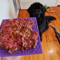 Load image into Gallery viewer, Soda Pup - Bones Emat Enrichment Lick Mat - Teddy DogWear