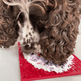 Load image into Gallery viewer, Soda Pup - Bones Emat Enrichment Lick Mat - Teddy DogWear
