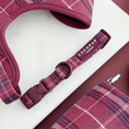 Load image into Gallery viewer, Cocopup London - Mulberry Plaid COLLAR - Teddy DogWear
