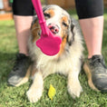 Load image into Gallery viewer, Soda Pup - Lick Sticks - Teddy DogWear