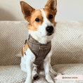 Load image into Gallery viewer, Cocopup London - Pup Plaid Adjustable Neck Harness - Teddy DogWear