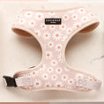 Load image into Gallery viewer, Cocopup London Daisy Chain - Teddy DogWear