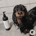 Load image into Gallery viewer, HARLOW HARRY - 2 - in - 1 Conditioning Dog Shampoo | Hunter 33 - Teddy DogWear