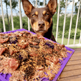 Load image into Gallery viewer, Soda Pup - Bones Emat Enrichment Lick Mat - Teddy DogWear