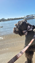 Load image into Gallery viewer, Oxford Bow Tie - Teddy DogWear
