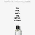 Load image into Gallery viewer, HARLOW HARRY - Dog Perfume | Solera 145 - Teddy DogWear