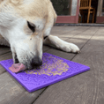 Load image into Gallery viewer, Soda Pup - Bones Emat Enrichment Lick Mat - Teddy DogWear