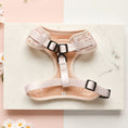 Load image into Gallery viewer, Cocopup London Daisy Chain - Teddy DogWear