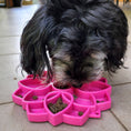Load image into Gallery viewer, Soda Pup - Mandala eTray Slowfeeder eTray - Teddy DogWear