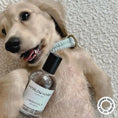 Load image into Gallery viewer, HARLOW HARRY - Dog Perfume | L'hermitage 37 - Teddy DogWear