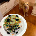 Load image into Gallery viewer, Rover Pet Products - Pawty Cake - Teddy DogWear