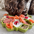 Load image into Gallery viewer, Soda Pup - Mandala eTray Slowfeeder eTray - Teddy DogWear