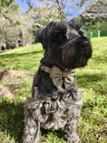Load image into Gallery viewer, Premium Dog Plaid DK Harness Collar Lead Bow Tie
