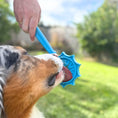 Load image into Gallery viewer, Soda Pup - Lick Sticks - Teddy DogWear