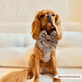 Load image into Gallery viewer, Cocopup London - Pup Plaid Sailor Bow Tie - Teddy DogWear