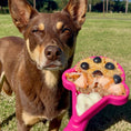 Load image into Gallery viewer, Soda Pup - Lick Sticks - Teddy DogWear