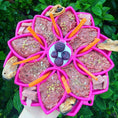 Load image into Gallery viewer, Soda Pup - Mandala eTray Slowfeeder eTray - Teddy DogWear