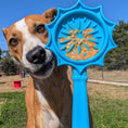 Load image into Gallery viewer, Soda Pup - Lick Sticks - Teddy DogWear