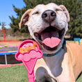 Load image into Gallery viewer, Soda Pup - Lick Sticks - Teddy DogWear