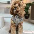 Load image into Gallery viewer, Cocopup London - Pup Plaid Sailor Bow Tie - Teddy DogWear