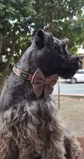 Load image into Gallery viewer, Premium Dog Plaid DK Harness Collar Lead Bow Tie