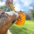 Load image into Gallery viewer, Soda Pup - Lick Sticks - Teddy DogWear
