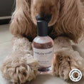 Load image into Gallery viewer, HARLOW HARRY - Dog Perfume | Bellevue 162 - Teddy DogWear
