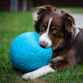 Load image into Gallery viewer, Rover Pet Products - Jolly Soccer Ball - Teddy DogWear