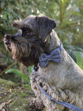 Load image into Gallery viewer, Surf Lush Bow Tie - Teddy DogWear
