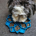 Load image into Gallery viewer, Soda Pup - Mandala eTray Slowfeeder eTray - Teddy DogWear