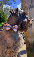 Load image into Gallery viewer, Premium Dog Harness Oxford Collar Lead Bow Tie - Teddy DogWear