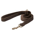Load image into Gallery viewer, Soft Velvet Lead - Teddy DogWear