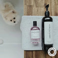 Load image into Gallery viewer, HARLOW HARRY - 2 - in - 1 Conditioning Dog Shampoo | D'bacca 169 - Teddy DogWear