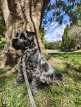 Load image into Gallery viewer, Premium Dog Plaid DK Harness Collar Lead Bow Tie - Teddy DogWear