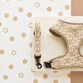Load image into Gallery viewer, Cocopup London Mocha Flower - Teddy DogWear