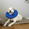 Load image into Gallery viewer, KONG Cloud Collar - Teddy DogWear