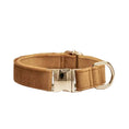 Load image into Gallery viewer, Soft Velvet Personalized Collar - Teddy DogWear