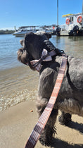 Load image into Gallery viewer, Premium Dog Harness Oxford Collar Lead Bow Tie - Teddy DogWear