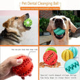 Load image into Gallery viewer, Enrichment Treat Ball For Dogs - Teddy DogWear