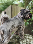 Load image into Gallery viewer, Light Plaid Sailors Bow Tie - Teddy DogWear