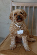 Load image into Gallery viewer, Ring Bearer Pouch for Dog - Teddy DogWear