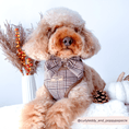 Load image into Gallery viewer, Cocopup London - Pup Plaid Adjustable Neck Harness - Teddy DogWear