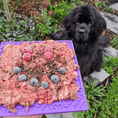 Load image into Gallery viewer, Soda Pup - Bones Emat Enrichment Lick Mat - Teddy DogWear
