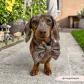 Load image into Gallery viewer, Cocopup London - Pup Plaid Sailor Bow Tie - Teddy DogWear