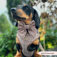 Load image into Gallery viewer, Cocopup London - Pup Plaid Sailor Bow Tie - Teddy DogWear