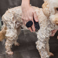 Load image into Gallery viewer, HARLOW HARRY - Luxe Lather Bathing Brush - Teddy DogWear