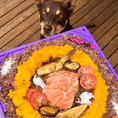 Load image into Gallery viewer, Soda Pup - Bones Emat Enrichment Lick Mat - Teddy DogWear
