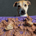 Load image into Gallery viewer, Soda Pup - Bones Emat Enrichment Lick Mat - Teddy DogWear